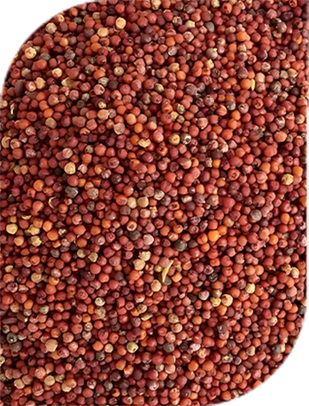Millets